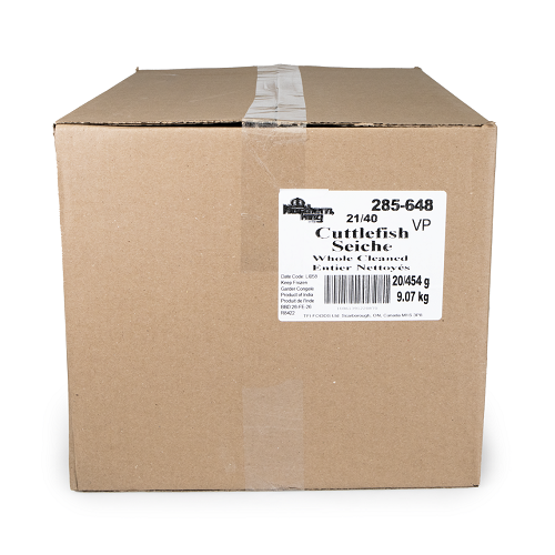 Cuttlefish_Baby_Cleaned_(VP)_285648-03